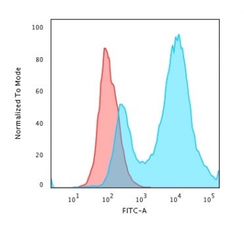 Flow cytometry testing of PFA-fixed human MCF7 cells with HSP27 antibody (clone HSPB1/774); Red=isotype control, Blue= HSP27 antibody.