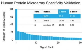 Analysis of HuProt(TM) microarray containing more than 19,000 full-length human proteins using HSP60 antibody (clone HSPD1/780). These results demonstrate the foremost specificity of the HSPD1/780 mAb. Z- and S- score: The Z-score represents the strength of a signal that an antibody (in combination with a fluorescently-tagged anti-IgG secondary Ab) produces when binding to a particular protein on the HuProt(TM) array. Z-scores are described in units of standard deviations (SD's) above the mean value of all signals generated on that array. If the targets on the HuProt(TM) are arranged in descending order of the Z-score, the S-score is the difference (also in units of SD's) between the Z-scores. The S-score therefore represents the relative target specificity of an Ab to its intended target.