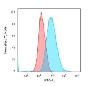 Flow cytometry testing of PFA-fixed human HeLa cells with Cytokeratin 7 antibody (clone KRT7/903); Red=isotype control, Blue= recombinant Cytokeratin 7 antibody.