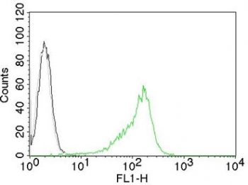 Nucleolin Antibody for Flow Cytometry flow cytometry analysis of human 293T cells. Human 293T cells were stained with AF488-labeled Nucleolin Antibody for Flow Cytometry (clone NCL/902). The fluorescence histogram (green) shows positive staining compared with cells alone (black) and the isotype control (gray), demonstrating detection of intracellular Nucleolin / NCL by flow cytometry following fixation and permeabilization.
