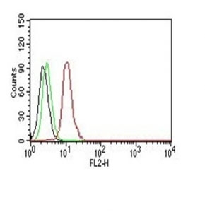 Flow Cytometry testing of Jurkat cells. Black: cells alone; Green: isotype control; Red: PE-labeled Cyclin D1 antibody (SPM587).