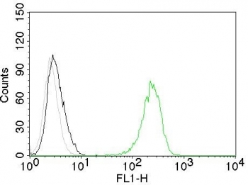 Flow cytometry testing of Jurkat cells. Black: cells alone; Grey: isotype control; Green: AF488-labeled Transferrin Receptor antibody (TFRC/1059).
