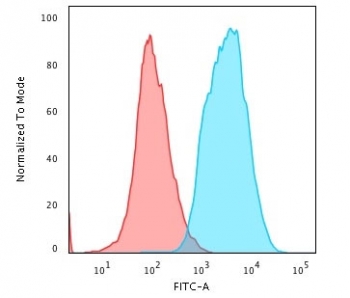 Pan Cytokeratin Antibody HeLa cells FACS. Flow cytometry analysis of cytokeratin expression in permeabilized human HeLa cells using Pan Cytokeratin antibody clone PAN-CK. The antibody-stained population (blue) shows a clear right-shift compared to isotype control (red), indicating robust intracellular detection of cytokeratin proteins. The distinct separation supports reliable identification of epithelial cells and confirms strong cytokeratin expression in this epithelial cell line.