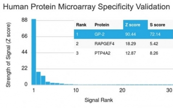GP2 Antibody Microarray Specificity Validation. Analysis of HuProt(TM) microarray containing more than 19,000 full-length human proteins using GP2 antibody (clone GP2/1712). These results demonstrate the foremost specificity of the GP2/1712 mAb.<BR>Z- and S- score: The Z-score represents the strength of a signal that an antibody (in combination with a fluorescently-tagged anti-IgG secondary Ab) produces when binding to a particular protein on the HuProt(TM) array. Z-scores are described in units of standard deviations (SD's) above the mean value of all signals generated on that array. If the targets on the HuProt(TM) are arranged in descending order of the Z-score, the S-score is the difference (also in units of SD's) between the Z-scores. The S-score therefore represents the relative target specificity of an Ab to its intended target.