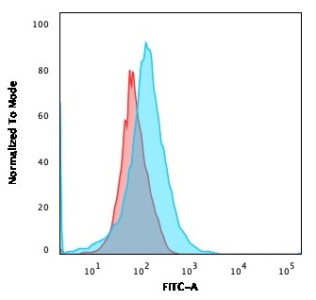 CFTR Antibody for FACS. Flow cytometry analysis of CFTR / Cystic fibrosis transmembrane conductance regulator expression in human MOLT4 cells using CFTR antibody, clone CFTR/1643. The CFTR antibody (blue) shows a clear right-shifted population compared to isotype control (red), indicating specific detection of CFTR expression and enabling accurate gating of positive cells.