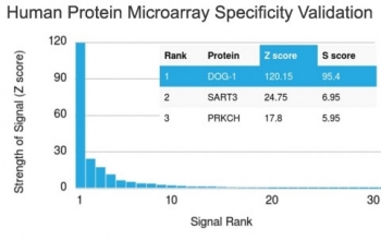 Analysis of HuProt(TM) microarray containing more than 19,000 full-length human proteins using DOG1 antibody (clone DG1/1486). These results demonstrate the foremost specificity of the DG1/1486 mAb. Z- and S- score: The Z-score represents the strength of a signal that an antibody (in combination with a fluorescently-tagged anti-IgG secondary Ab) produces when binding to a particular protein on the HuProt(TM) array. Z-scores are described in units of standard deviations (SD's) above the mean value of all signals generated on that array. If the targets on the HuProt(TM) are arranged in descending order of the Z-score, the S-score is the difference (also in units of SD's) between the Z-scores. The S-score therefore represents the relative target specificity of an Ab to its intended target.