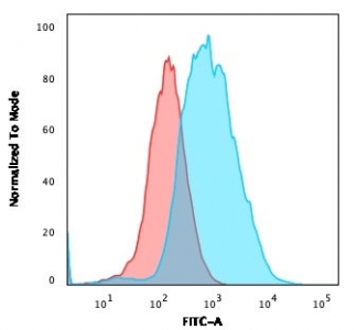 EpCAM Antibody FACS. Flow cytometry analysis using EpCAM Antibody / Epithelial Cell Marker Antibody (clone EGP40/1372) demonstrates a pronounced rightward shift of the stained cell population (blue) relative to the negative control population (red), indicating specific cell surface binding to Epithelial Cell Adhesion Molecule (EPCAM/CD326). The observed fluorescence shift is consistent with expression of EpCAM, a transmembrane glycoprotein localized to the surface of epithelial cells where it functions in cell-cell adhesion, tissue organization, and epithelial signaling pathways. Recognition of an extracellular domain epitope by clone EGP40/1372 makes this antibody well suited for flow cytometric detection of viable epithelial cell populations and epithelial-derived tumor cells. The results support the utility of this antibody for identification, characterization, and isolation of EpCAM-positive cells in flow cytometry applications.