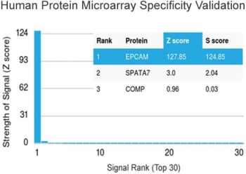 EpCAM Antibody Protein Microarray Validation. Analysis of a HuProt(TM) protein microarray containing more than 19,000 full-length human proteins using EpCAM Antibody / Epithelial Cell Marker Antibody (clone EGP40/1372) demonstrates exceptional target specificity for Epithelial Cell Adhesion Molecule (EPCAM/CD326). EPCAM was identified as the top-ranked target with a Z-score of 127.85 and an S-score of 124.85, substantially exceeding all other proteins present on the array. The large separation between EPCAM and the next highest-ranking proteins indicates highly specific target recognition with minimal off-target binding. These results support the utility of clone EGP40/1372 for applications requiring high specificity, including immunohistochemistry, immunofluorescence, western blotting, and flow cytometry. The data demonstrate the foremost specificity of the EGP40/1372 monoclonal antibody for EPCAM.<BR>Z- and S-score: The Z-score represents the strength of the signal generated when an antibody, in combination with a fluorescently labeled secondary antibody, binds to a specific protein on the HuProt(TM) array. Z-scores are expressed as standard deviations above the mean signal intensity of all proteins on the array. The S-score is the difference between the Z-scores of consecutive ranked targets and represents the relative specificity of the antibody for its intended target. An S-score of 2.5 or greater is generally considered indicative of target-specific antibody binding.