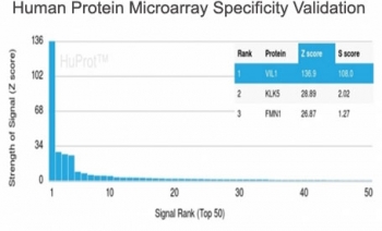 Villin Antibody. Protein microarray specificity analysis of Villin-1 (VIL1) using Villin Antibody / Brush Border Cytoskeletal Protein Antibody with recombinant mouse monoclonal clone rVIL1/1325 on a HuProt human protein array containing over 19,000 full-length proteins. The antibody shows strongest binding to VIL1 with a high Z-score and clear separation from non-target proteins, indicating strong target specificity. Z-score reflects signal intensity relative to background, while the S-score represents the specificity gap between the top-ranked target and subsequent proteins, supporting selective recognition of Villin as a brush border cytoskeletal protein.