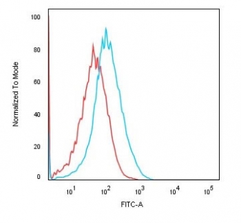 Flow cytometry testing of human HEK293 cells with Cadherin 16 antibody (clone rCDH16/1071); Red=isotype control, Blue= Cadherin 16 antibody.