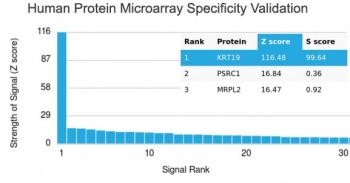 Analysis of HuProt(TM) microarray containing more than 19,000 full-length human proteins using recombinant Cytokeratin 19 antibody (clone rKRT19/799). These results demonstrate the foremost specificity of the rKRT19/799 mAb. Z- and S- score: The Z-score represents the strength of a signal that an antibody (in combination with a fluorescently-tagged anti-IgG secondary Ab) produces when binding to a particular protein on the HuProt(TM) array. Z-scores are described in units of standard deviations (SD's) above the mean value of all signals generated on that array. If the targets on the HuProt(TM) are arranged in descending order of the Z-score, the S-score is the difference (also in units of SD's) between the Z-scores. The S-score therefore represents the relative target specificity of an Ab to its intended target.