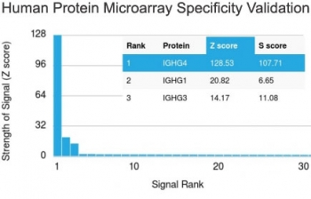 Analysis of HuProt(TM) microarray containing more than 19,000 full-length human proteins using recombinant IgG4/IGHG4 antibody (clone IGHG4/2042R). These results demonstrate the foremost specificity of the IGHG4/2042R mAb. Z- and S- score: The Z-score represents the strength of a signal that an antibody (in combination with a fluorescently-tagged anti-IgG secondary Ab) produces when binding to a particular protein on the HuProt(TM) array. Z-scores are described in units of standard deviations (SD's) above the mean value of all signals generated on that array. If the targets on the HuProt(TM) are arranged in descending order of the Z-score, the S-score is the difference (also in units of SD's) between the Z-scores. The S-score therefore represents the relative target specificity of an Ab to its intended target.