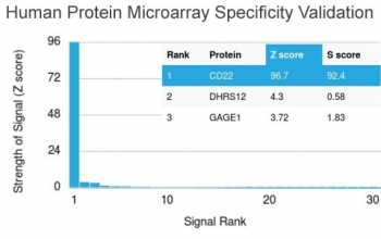 Analysis of HuProt(TM) microarray containing more than 19,000 full-length human proteins using CD22 antibody (clone BLCAM/1796). These results demonstrate the foremost specificity of the BLCAM/1796 mAb.<BR>Z- and S- score: The Z-score represents the strength of a signal that an antibody (in combination with a fluorescently-tagged anti-IgG secondary Ab) produces when binding to a particular protein on the HuProt(TM) array. Z-scores are described in units of standard deviations (SD's) above the mean value of all signals generated on that array. If the targets on the HuProt(TM) are arranged in descending order of the Z-score, the S-score is the difference (also in units of SD's) between the Z-scores. The S-score therefore represents the relative target specificity of an Ab to its intended target.