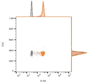 FACS staining of bead-bound exosomes derived from human MCF7 cells: Gray = unstained, Orange = CF568 labeled CD63 antibody.