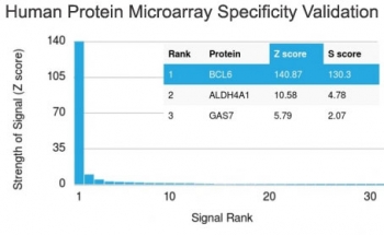 Analysis of HuProt(TM) microarray containing more than 19,000 full-length human proteins using Bcl6 antibody (clone BCL6/1718). These results demonstrate the foremost specificity of the BCL6/1718 mAb.  Z- and S- score: The Z-score represents the strength of a signal that an antibody (in combination with a fluorescently-tagged anti-IgG secondary Ab) produces when binding to a particular protein on the HuProt(TM) array. Z-scores are described in units of standard deviations (SD's) above the mean value of all signals generated on that array. If the targets on the HuProt(TM) are arranged in descending order of the Z-score, the S-score is the difference (also in units of SD's) between the Z-scores. The S-score therefore represents the relative target specificity of an Ab to its intended target.