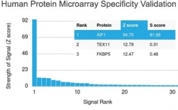 IBA1 Antibody Microarray Specificity Validation. Analysis of HuProt(TM) microarray containing more than 19,000 full-length human proteins using IBA1 Antibody (clone AIF1/1909) demonstrates highly specific detection of AIF1 / IBA1, a microglia marker and macrophage lineage protein. The antibody shows a dominant signal for AIF1 with a Z-score of 94.75 and an S-score of 81.96, indicating strong separation from all other proteins on the array and supporting high target specificity. Z- and S-score explanation: The Z-score reflects the strength of signal generated when the antibody binds to a protein on the array, expressed as standard deviations above the mean signal, while the S-score represents the difference between sequential Z-scores and indicates relative specificity compared to potential off-target interactions.