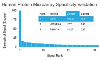 Human protein microarray specificity validation of ER alpha antibody HuProt array validated clone ESR1/1935. Analysis of HuProt(TM) microarray containing more than 19,000 full-length human proteins was performed using ER alpha antibody clone ESR1/1935. The antibody demonstrates strongest binding to ESR1 with a Z-score of 101.22 and an S-score of 83.51, indicating clear separation from other proteins on the array. These data support the high specificity of clone ESR1/1935 for Estrogen Receptor alpha.<BR>Z- and S-score explanation: The Z-score represents the strength of signal generated when the antibody, in combination with a fluorescently tagged anti-IgG secondary antibody, binds to a specific protein on the HuProt(TM) array. Z-scores are expressed in standard deviations above the mean signal across all proteins tested. Proteins are ranked in descending order based on Z-score. The S-score represents the difference between sequential Z-scores and reflects the relative specificity of the antibody for its intended target compared to potential off-target interactions.