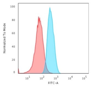 GAD67 Antibody T98G FACS. Flow cytometry analysis of human T98G cells stained with GAD67 Antibody demonstrates a pronounced right-shifted fluorescence population relative to the isotype control, consistent with expression of Glutamate decarboxylase 67 / GAD1 within neural-associated cellular populations. This GABA synthesis enzyme antibody supports characterization of inhibitory neurotransmitter pathway-associated protein expression and neural differentiation signaling in glioblastoma-derived cells. Blue=GAD67 antibody, Red=isotype control.