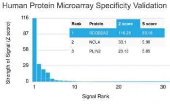 Mammaglobin Antibody - Protein Microarray Validated clone MGB/2000 - microarray specificity validation. Analysis of a HuProt(TM) microarray containing more than 19,000 full-length human proteins was performed using Mammaglobin Antibody - Protein Microarray Validated (clone MGB/2000). The strongest binding signal corresponds to SCGB2A2 (Mammaglobin A), which ranks first on the array, demonstrating high specificity of the MGB/2000 mouse monoclonal antibody for its intended target. Z- and S-scores quantify antibody binding strength and target specificity. The Z-score represents the signal intensity produced when the antibody, together with a fluorescently labeled anti-IgG secondary antibody, binds to a protein on the array and is expressed as standard deviations above the mean signal of the array. When proteins are ordered by descending Z-score, the S-score represents the difference between adjacent Z-scores and therefore reflects the relative specificity of the antibody for its target protein.
