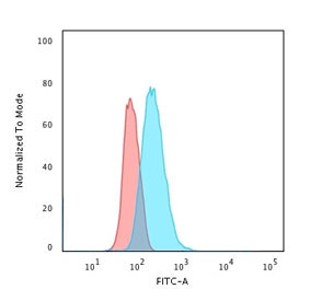 Flow cytometry testing of human U-2 OS cells with CD40 antibody (clone CDLA40-1); Red=isotype control, Blue= CD40 antibody.