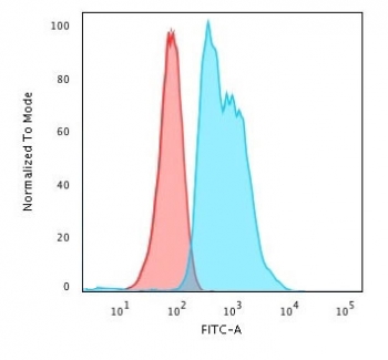 ZAP70 Antibody / T-cell Activation Threshold Antibody. Flow cytometry analysis of PFA-fixed human Jurkat T lymphocyte cells using ZAP70 Antibody / T-cell Activation Threshold Antibody (clone ZPT70-2). Cells were fixed and permeabilized to enable intracellular detection of Zeta-chain-associated protein kinase 70 (ZAP70), a key regulator of signaling sensitivity and activation thresholds in T cells. The blue histogram shows a clear rightward fluorescence shift compared to the red isotype control, indicating specific intracellular ZAP70 staining. The distribution and breadth of the signal are consistent with heterogeneous ZAP70 expression levels that reflect differences in signaling strength and activation potential within the cell population, supporting its role in T-cell activation threshold regulation.