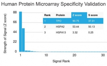 Analysis of HuProt(TM) microarray containing more than 19,000 full-length human proteins using Thyroid Peroxidase antibody (clone TPO/1922). These results demonstrate the foremost specificity of the TPO/1922 mAb. Z- and S- score: The Z-score represents the strength of a signal that an antibody (in combination with a fluorescently-tagged anti-IgG secondary Ab) produces when binding to a particular protein on the HuProt(TM) array. Z-scores are described in units of standard deviations (SD's) above the mean value of all signals generated on that array. If the targets on the HuProt(TM) are arranged in descending order of the Z-score, the S-score is the difference (also in units of SD's) between the Z-scores. The S-score therefore represents the relative target specificity of an Ab to its intended target.