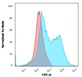 ZAP70 Antibody / Cytotoxic Lymphocyte Signaling Antibody. Flow cytometry analysis of PFA-fixed human Jurkat T lymphocyte cells using ZAP70 Antibody / Cytotoxic Lymphocyte Signaling Antibody (clone ZAP70/2035). Cells were fixed and permeabilized to enable intracellular detection of Zeta-chain-associated protein kinase 70 (ZAP70), a cytoplasmic tyrosine kinase involved in cytotoxic lymphocyte signaling pathways. The blue histogram shows a clear rightward fluorescence shift compared to the red isotype control, indicating specific intracellular ZAP70 staining. This pattern supports detection of signaling-associated ZAP70 expression in lymphocyte populations relevant to cytotoxic immune responses.