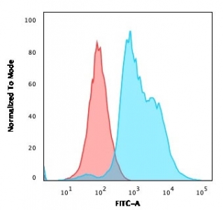 ZAP70 Antibody for FACS / T-cell Signaling Flow Cytometry Antibody. Flow cytometry analysis of intracellular ZAP70 expression in PFA-fixed human Jurkat T lymphocyte cells using clone ZAP70/2047. Cells were fixed and permeabilized to enable detection of the cytoplasmic tyrosine kinase Zeta-chain-associated protein kinase 70 (ZAP70), a key mediator of T-cell receptor signaling. The blue histogram shows specific intracellular staining of ZAP70-positive Jurkat cells, while the red histogram represents the isotype control, demonstrating a clear rightward shift consistent with T-cell signaling-associated ZAP70 expression.