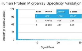 CD21 Antibody Microarray Validation. Protein microarray analysis of Complement Receptor 2 / CD21 using mouse monoclonal CD21 antibody, clone CR2/2754, across a HuProt(TM) array containing more than 19,000 full-length human proteins demonstrates highly selective binding to CD21 (CR2), with minimal reactivity toward non-target proteins. Signal intensity is strongly enriched for CD21 relative to all other proteins, supporting a high level of specificity. Z-score represents the strength of antibody binding signal expressed as standard deviations above the mean array signal, while S-score reflects the separation between the top-ranked target and the next highest signal, indicating relative target specificity. The observed signal profile confirms selective recognition of CD21 in a proteome-wide context.