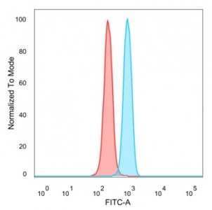 POGZ Antibody HeLa FACS. Flow cytometry analysis of PFA-fixed human HeLa cells stained with POGZ Antibody / Chromatin Regulation Marker (blue, clone PCRP-POGZ-1B2) followed by goat anti-mouse IgG-CF488. Unstained cells are shown in red. The distinct fluorescence shift supports detection of endogenous Pogo transposable element-derived protein with zinc finger domain / POGZ expression in HeLa cells, consistent with the broad intracellular distribution expected for a chromatin-associated nuclear regulatory protein involved in developmental gene expression and transcriptional control pathways.