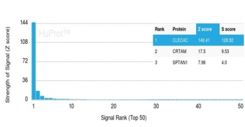 CD303 Antibody HuProt Microarray Specificity. Protein microarray analysis using CD303 Antibody (clone CLEC4C/3400) demonstrates highly specific binding to CLEC4C / CD303 (BDCA2), with the target protein ranked as the top hit and showing a strong Z score with clear separation from all other proteins on the array. Signal intensity decreases sharply for non-target proteins, supporting selective recognition with minimal off-target interaction. Z score represents the strength of signal in standard deviations above the mean of all array signals, while S score reflects the separation between ranked targets and provides a measure of relative specificity.