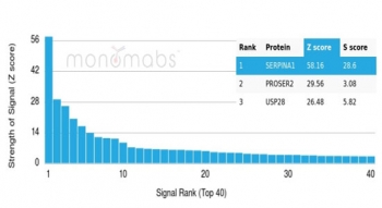 Analysis of a HuProt(TM) microarray containing more than 19,000 full-length human proteins using AAT antibody (AAT/4615). Z- and S- Score: The Z-score represents the strength of a signal that a monoclonal antibody (in combination with a fluorescently-tagged anti-IgG secondary antibody) produces when binding to a particular protein on the HuProt(TM) array. Z-scores are described in units of standard deviations (SD's) above the mean value of all signals generated on that array. If targets on HuProt(TM) are arranged in descending order of the Z-score, the S-score is the difference (also in units of SD's) between the Z-score. S-score therefore represents the relative target specificity of a mAb to its intended target. A mAb is considered to specific to its intended target, if the mAb has an S-score of at least 2.5. For example, if a mAb binds to protein X with a Z-score of 43 and to protein Y with a Z-score of 14, then the S-score for the binding of that mAb to protein X is equal to 29.