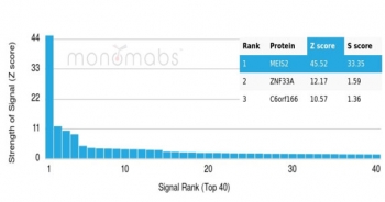 Analysis of a HuProt(TM) microarray containing more than 19,000 full-length human proteins using MEIS2 antibody (clone PCRP-MEIS2-2B3). Z- and S- Score: The Z-score represents the strength of a signal that a monoclonal antibody (in combination with a fluorescently-tagged anti-IgG secondary antibody) produces when binding to a particular protein on the HuProt(TM) array. Z-scores are described in units of standard deviations (SD's) above the mean value of all signals generated on that array. If targets on HuProt(TM) are arranged in descending order of the Z-score, the S-score is the difference (also in units of SD's) between the Z-score. S-score therefore represents the relative target specificity of a mAb to its intended target. A mAb is considered to specific to its intended target, if the mAb has an S-score of at least 2.5. For example, if a mAb binds to protein X with a Z-score of 43 and to protein Y with a Z-score of 14, then the S-score for the binding of that mAb to protein X is equal to 29.