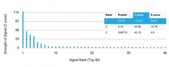 Analysis of a HuProt(TM) microarray containing more than 19,000 full-length human proteins using CD19 antibody (clone CD19/7665). Z- and S- Score: The Z-score represents the strength of a signal that a monoclonal antibody (in combination with a fluorescently-tagged anti-IgG secondary antibody) produces when binding to a particular protein on the HuProt(TM) array. Z-scores are described in units of standard deviations (SD's) above the mean value of all signals generated on that array. If targets on HuProt(TM) are arranged in descending order of the Z-score, the S-score is the difference (also in units of SD's) between the Z-score. S-score therefore represents the relative target specificity of a mAb to its intended target. A mAb is considered to specific to its intended target, if the mAb has an S-score of at least 2.5. For example, if a mAb binds to protein X with a Z-score of 43 and to protein Y with a Z-score of 14, then the S-score for the binding of that mAb to protein X is equal to 29.
