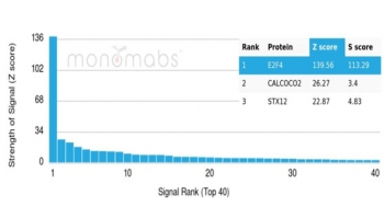 E2F4 Antibody HuProt Microarray. Analysis of a HuProt(TM) microarray containing more than 19,000 full-length human proteins using E2F4 antibody detecting E2F transcription factor 4, clone E2F4/4224. The antibody shows a strong and specific signal for E2F4 with a high Z-score and a significant separation from the next highest targets, resulting in an S-score greater than 2.5, consistent with high target specificity. Z-score represents the signal intensity in standard deviations above the array mean, while S-score reflects the difference between the top-ranked target and the next highest signal, indicating relative binding specificity of the monoclonal antibody.