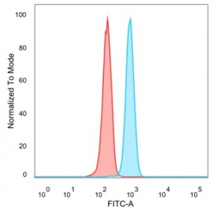 Forkhead Box I1 Antibody HeLa FACS. Flow cytometry analysis of PFA-fixed human HeLa cells stained with Forkhead Box I1 Antibody / Microarray Specificity Validated Antibody (blue, clone PCRP-FOXI1-1C4) followed by goat anti-mouse IgG-CF488. Unstained cells are shown in red. The distinct fluorescence shift supports detection of endogenous Forkhead box protein I1 / FOXI1 expression in human HeLa cells, consistent with the intracellular distribution expected for a forkhead family transcription-associated regulatory protein involved in epithelial differentiation and developmental signaling pathways.