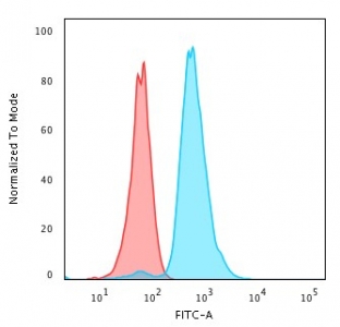 p53 Antibody / Stress Response Transcription Factor Antibody flow cytometry analysis of human HeLa cells. Cells were stained with recombinant rabbit monoclonal antibody clone TP53/3890R followed by goat anti-rabbit IgG-CF488 secondary antibody (blue). The blue histogram shows a clear rightward fluorescence shift relative to the isotype control (red), demonstrating detection of the p53 stress response transcription factor in HeLa cells.