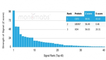 Analysis of a HuProt(TM) microarray containing more than 19,000 full-length human proteins using G-CSF antibody (clone CSF3/4597). Z- and S- Score: The Z-score represents the strength of a signal that a monoclonal antibody (in combination with a fluorescently-tagged anti-IgG secondary antibody) produces when binding to a particular protein on the HuProt(TM) array. Z-scores are described in units of standard deviations (SD's) above the mean value of all signals generated on that array. If targets on HuProt(TM) are arranged in descending order of the Z-score, the S-score is the difference (also in units of SD's) between the Z-score. S-score therefore represents the relative target specificity of a mAb to its intended target. A mAb is considered to specific to its intended target, if the mAb has an S-score of at least 2.5. For example, if a mAb binds to protein X with a Z-score of 43 and to protein Y with a Z-score of 14, then the S-score for the binding of that mAb to protein X is equal to 29.