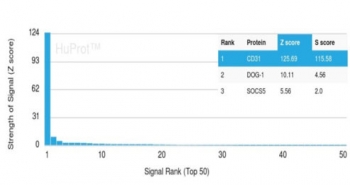 Analysis of a HuProt(TM) microarray containing more than 19,000 full-length human proteins using CD31 antibody (clone PECAM1/3533) Z- and S- Score: The Z-score represents the strength of a signal that a monoclonal antibody (in combination with a fluorescently-tagged anti-IgG secondary antibody) produces when binding to a particular protein on the HuProt(TM) array. Z-scores are described in units of standard deviations (SD's) above the mean value of all signals generated on that array. If targets on HuProt(TM) are arranged in descending order of the Z-score, the S-score is the difference (also in units of SD's) between the Z-score. S-score therefore represents the relative target specificity of a mAb to its intended target. A mAb is considered to specific to its intended target, if the mAb has an S-score of at least 2.5. For example, if a mAb binds to protein