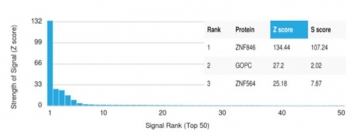 ZNF846 Zinc Finger Transcription Regulator Antibody HuProt Microarray Specificity. Protein microarray analysis using ZNF846 Antibody (clone PCRP-ZNF846-1E12) demonstrates highly specific binding to ZNF846, with the target protein ranked as the top hit and showing a strong Z score relative to all other proteins on the array. Signal intensity drops sharply for non-target proteins, supporting selective recognition with minimal off-target interaction. Z score represents the strength of signal in standard deviations above the mean of all array signals, while S score reflects the separation between the top-ranked target and the next highest signal, indicating relative specificity.