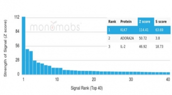 KLK7 Antibody microarray specificity analysis of Kallikrein 7 using clone KLK7/4693. Analysis of a HuProt(TM) protein microarray containing more than 19,000 full length human proteins was performed with KLK7 antibody clone KLK7/4693 to evaluate target specificity across the human proteome. The antibody demonstrates strong and selective binding to KLK7 with the highest ranked signal intensity on the array. Results were generated using KLK7 Antibody / Kallikrein 7 (clone KLK7/4693), confirming selective recognition of the KLK7 protein relative to other proteins present on the array. Z-score represents the strength of signal produced when the monoclonal antibody, together with a fluorescently labeled anti-IgG secondary antibody, binds to a specific protein on the HuProt(TM) array and is expressed in units of standard deviations above the mean signal of the array. When proteins are ranked by Z-score, the S-score represents the difference between consecutive Z-scores and reflects the relative specificity of the antibody for its intended target. Antibodies with an S-score greater than 2.5 are considered highly specific, supporting selective recognition of KLK7 by clone KLK7/4693.