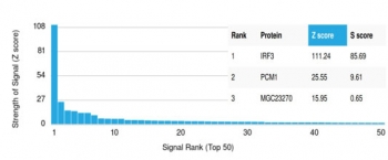 Interferon Regulatory Factor 3 Antibody HuProt Microarray Validation. Analysis of HuProt(TM) microarray containing more than 19,000 full-length human proteins using Interferon Regulatory Factor 3 Antibody demonstrates highly selective recognition of IRF3 with strong separation from non-target proteins across the tested human proteome. These results support the high specificity of the PCRP-IRF3-4D7 mAb for interferon regulatory factor 3-associated antiviral signaling pathways and innate immune regulatory proteins. The Z-score represents the strength of antibody binding signal relative to the overall array mean, while the S-score reflects target specificity relative to the next highest ranked protein signal. The elevated S-score separation observed for IRF3 supports preferential target recognition across the tested human proteome.