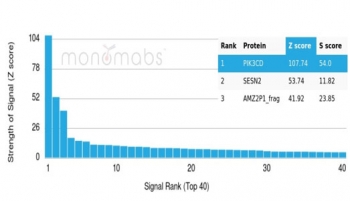 Analysis of a HuProt(TM) microarray containing more than 19,000 full-length human proteins using PIK3R2 antibody (clone PIK3CD/4639). Z- and S- Score: The Z-score represents the strength of a signal that a monoclonal antibody (in combination with a fluorescently-tagged anti-IgG secondary antibody) produces when binding to a particular protein on the HuProt(TM) array. Z-scores are described in units of standard deviations (SD's) above the mean value of all signals generated on that array. If targets on HuProt(TM) are arranged in descending order of the Z-score, the S-score is the difference (also in units of SD's) between the Z-score. S-score therefore represents the relative target specificity of a mAb to its intended target. A mAb is considered to specific to its intended target, if the mAb has an S-score of at least 2.5. For example, if a mAb binds to protein X with a Z-score of 43 and to protein Y with a Z-score of 14, then the S-score for the binding of that mAb to protein X is equal to 29.