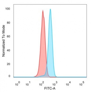 LRH1 Antibody HeLa FACS. Flow cytometry analysis of PFA-fixed human HeLa cells using monoclonal clone PCRP-NR5A2-1B8 followed by goat anti-mouse IgG-CF488 demonstrates a clear rightward fluorescence shift relative to unstained control cells, supporting intracellular expression of Liver receptor homolog 1 / NR5A2 in cervical carcinoma-derived cells. The observed staining profile is consistent with detection of this metabolic nuclear receptor transcription factor within fixed cellular compartments. Blue=NR5A2 antibody, Red=unstained cells.