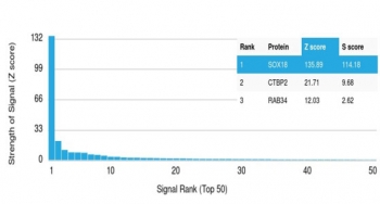 Analysis of a HuProt(TM) microarray containing more than 19,000 full-length human proteins using SOX18 antibody (clone SOX18/3271) Z- and S- Score: The Z-score represents the strength of a signal that a monoclonal antibody (in combination with a fluorescently-tagged anti-IgG secondary antibody) produces when binding to a particular protein on the HuProt(TM) array. Z-scores are described in units of standard deviations (SD's) above the mean value of all signals generated on that array. If targets on HuProt(TM) are arranged in descending order of the Z-score, the S-score is the difference (also in units of SD's) between the Z-score. S-score therefore represents the relative target specificity of a mAb to its intended target. A mAb is considered to specific to its intended target, if the mAb has an S-score of at least 2.5. For example, if a mAb binds to protein X with a Z-score of 43 and to protein Y with a Z-score of 14, then the S-score for the binding of that mAb to protein X is equal to 29.