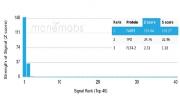 Analysis of a HuProt(TM) microarray containing more than 19,000 full-length human proteins using FABP1 antibody (clone FABP1/4517). Z- and S- Score: The Z-score represents the strength of a signal that a monoclonal antibody (in combination with a fluorescently-tagged anti-IgG secondary antibody) produces when binding to a particular protein on the HuProt(TM) array. Z-scores are described in units of standard deviations (SD's) above the mean value of all signals generated on that array. If targets on HuProt(TM) are arranged in descending order of the Z-score, the S-score is the difference (also in units of SD's) between the Z-score. S-score therefore represents the relative target specificity of a mAb to its intended target. A mAb is considered to specific to its intended target, if the mAb has an S-score of at least 2.5. For example, if a mAb binds to protein X with a Z-score of 43 and to protein Y with a Z-score of 14, then the S-score for the binding of that mAb to protein X is equal to 29.