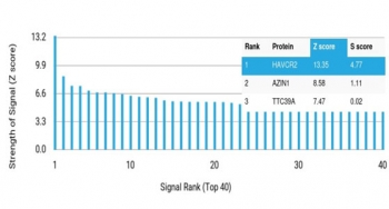 Analysis of a HuProt(TM) microarray containing more than 19,000 full-length human proteins using TIM-3 antibody (clone TIM3/6863R) Z- and S- Score: The Z-score represents the strength of a signal that a monoclonal antibody (in combination with a fluorescently-tagged anti-IgG secondary antibody) produces when binding to a particular protein on the HuProt(TM) array. Z-scores are described in units of standard deviations (SD's) above the mean value of all signals generated on that array. If targets on HuProt(TM) are arranged in descending order of the Z-score, the S-score is the difference (also in units of SD's) between the Z-score. S-score therefore represents the relative target specificity of a mAb to its intended target. A mAb is considered to specific to its intended target, if the mAb has an S-score of at least 2.5. For example, if a mAb binds to protein X with a Z-score of 43 and to protein Y with a Z-score of 14, then the S-score for the binding of that mAb to protein X is equal to 29.