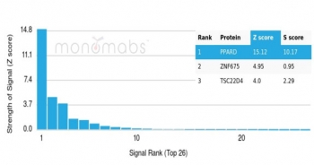 Analysis of a HuProt(TM) microarray containing more than 19,000 full-length human proteins using PPAR delta antibody (clone PCRP-PPARD-4C2). Z- and S- Score: The Z-score represents the strength of a signal that a monoclonal antibody (in combination with a fluorescently-tagged anti-IgG secondary antibody) produces when binding to a particular protein on the HuProt(TM) array. Z-scores are described in units of standard deviations (SD's) above the mean value of all signals generated on that array. If targets on HuProt(TM) are arranged in descending order of the Z-score, the S-score is the difference (also in units of SD's) between the Z-score. S-score therefore represents the relative target specificity of a mAb to its intended target. A mAb is considered to specific to its intended target, if the mAb has an S-score of at least 2.5. For example, if a mAb binds to protein X with a Z-score of 43 and to protein Y with a Z-score of 14, then the S-score for the binding of that mAb to protein X is equal to 29.