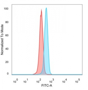 SDS-PAGE analysis of purified, BSA-free PPAR delta antibody (clone PCRP-PPARD-4C2) as confirmation of integrity and purity.