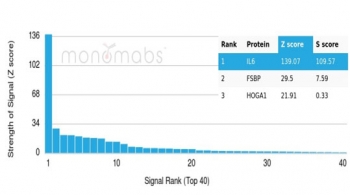 Analysis of a HuProt(TM) microarray containing more than 19,000 full-length human proteins using IL-6 antibody (clone IL6/4642). Z- and S- Score: The Z-score represents the strength of a signal that a monoclonal antibody (in combination with a fluorescently-tagged anti-IgG secondary antibody) produces when binding to a particular protein on the HuProt(TM) array. Z-scores are described in units of standard deviations (SD's) above the mean value of all signals generated on that array. If targets on HuProt(TM) are arranged in descending order of the Z-score, the S-score is the difference (also in units of SD's) between the Z-score. S-score therefore represents the relative target specificity of a mAb to its intended target. A mAb is considered to specific to its intended target, if the mAb has an S-score of at least 2.5. For example, if a mAb binds to protein X with a Z-score of 43 and to protein Y with a Z-score of 14, then the S-score for the binding of that mAb to protein X is equal to 29.